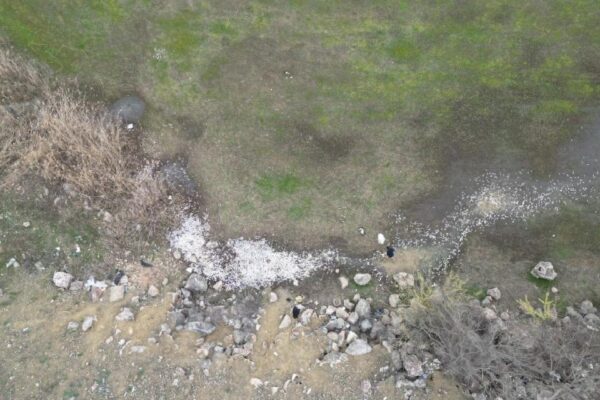 Bursa’da Boğazköy Baraj Göleti’ndeki balık ölümleri üzerine inceleme başlatıldı haberi
