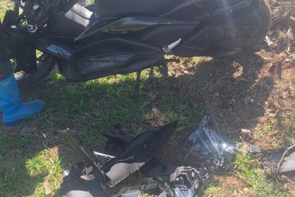 Bursa’nın Yenişehir ilçesinde ağaca çarpan motosikletin sürücüsü öldü haberi