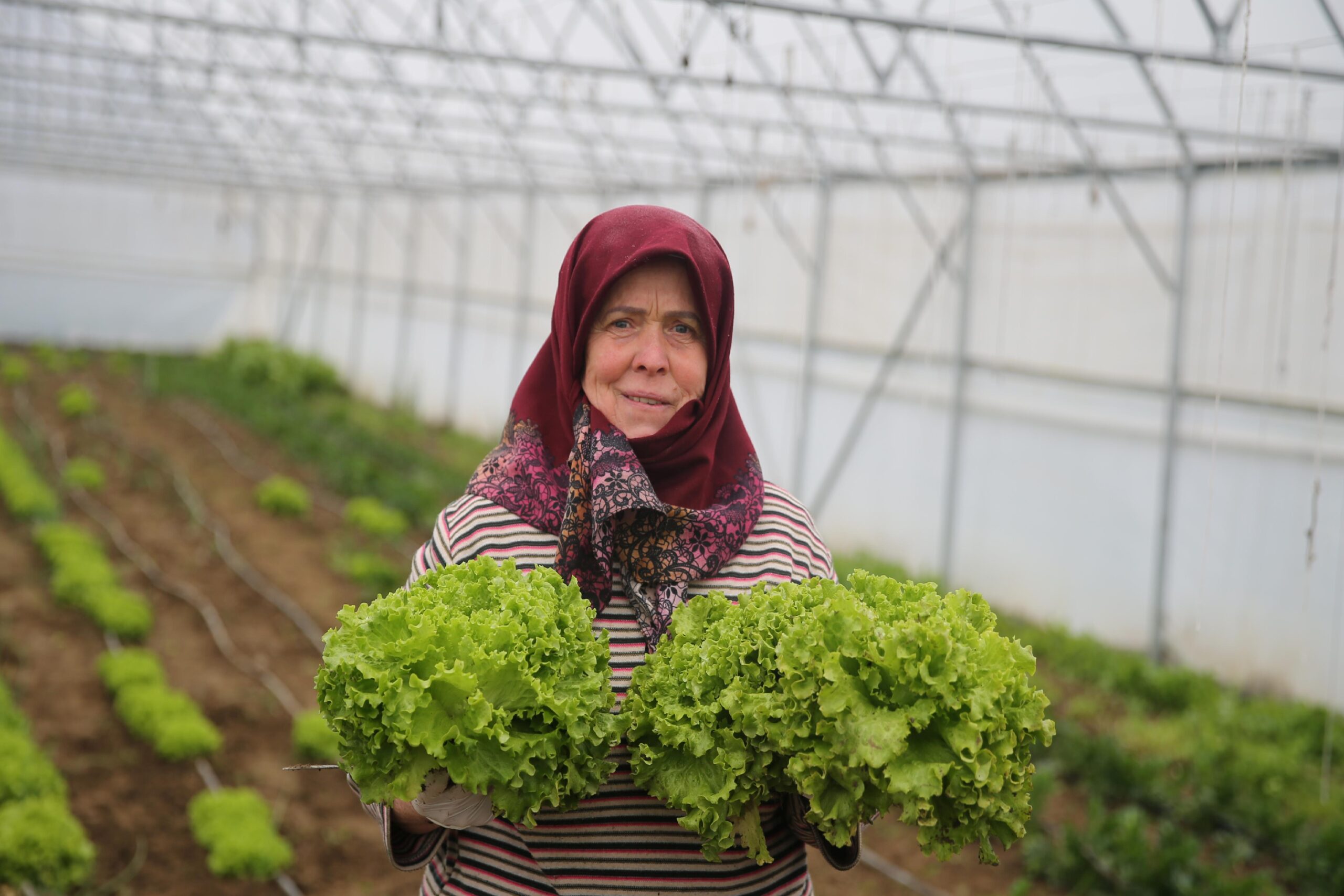 devlet-destegiyle-sera-kuran-kadin-ciftci-isini-buyutmeyi-hedefliyor-haberi-WFyaEOVy.jpg