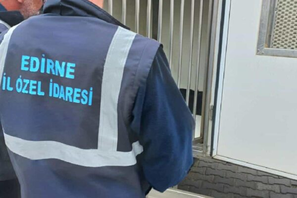 Edirne İl Özel İdaresi kırsal bölgelerdeki sahipsiz köpekleri barınaklara taşıyor haberi