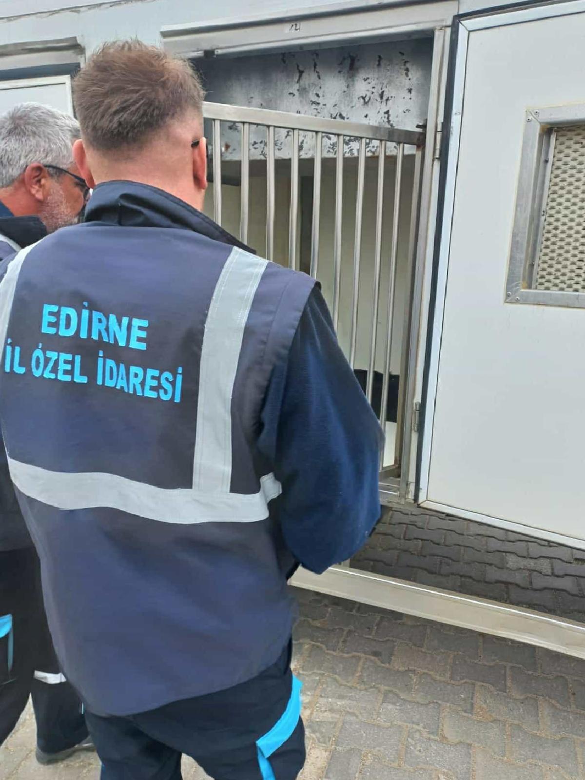 edirne-il-ozel-idaresi-kirsal-bolgelerdeki-sahipsiz-kopekleri-barinaklara-tasiyor-haberi-xvpzXZ9h.jpg