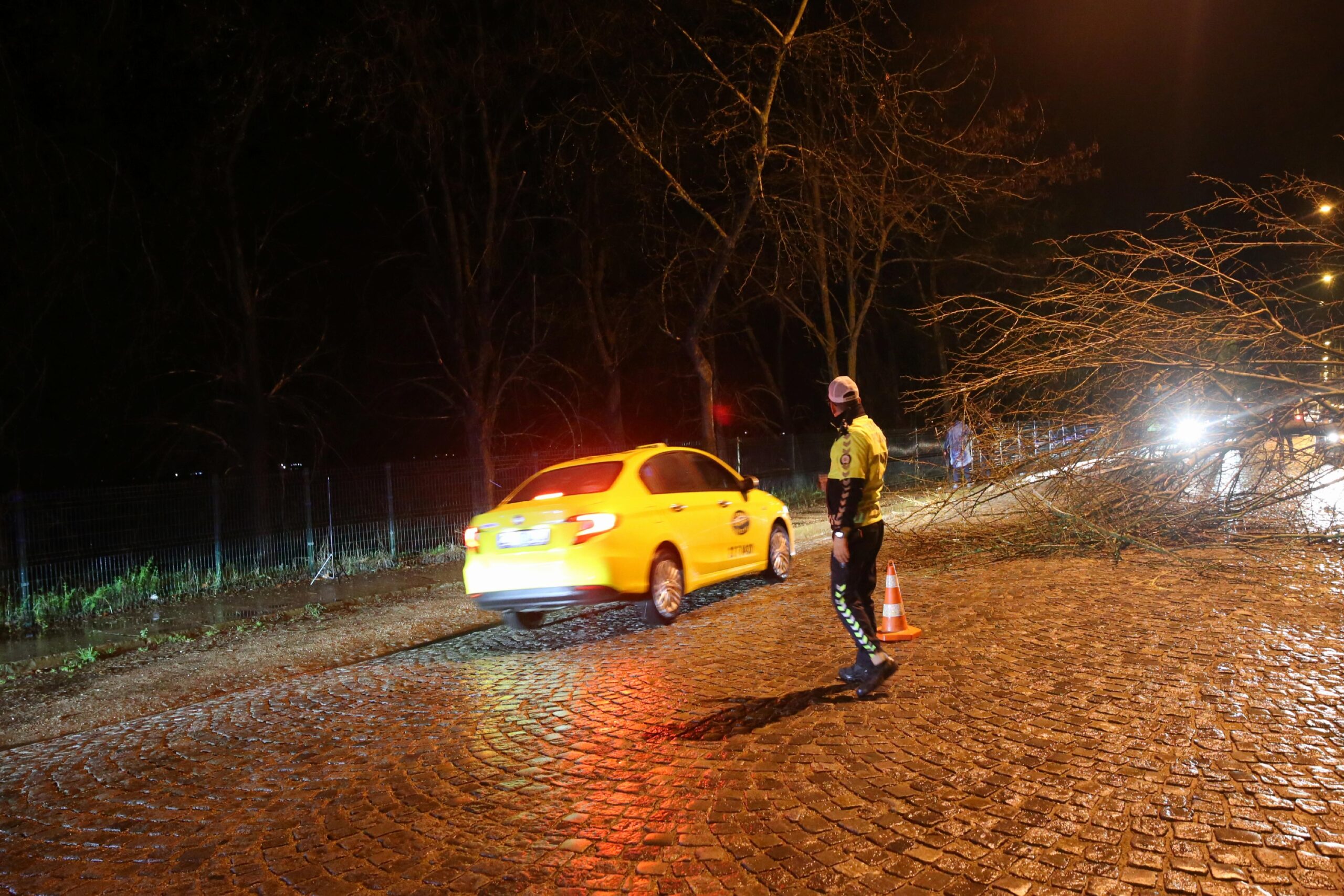 edirnede-saganak-agac-devrilmesine-ve-trafikte-aksamalara-neden-oldu-haberi-8gBn9gOG.jpg