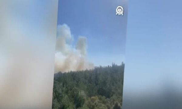 GÜNCELLEME – Çanakkale’de çıkan orman yangını kontrol altına alındı haberi