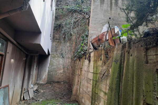 Kocaeli’de budadığı ağaçtan düşen kişi yaralandı haberi