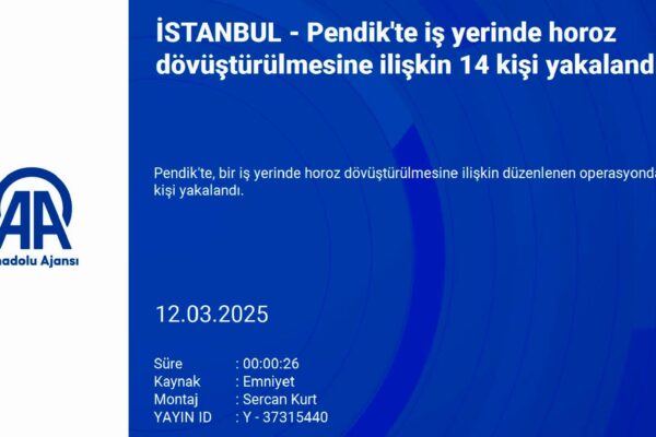 Pendik’te iş yerinde horoz dövüştürülmesine ilişkin 14 kişi yakalandı haberi