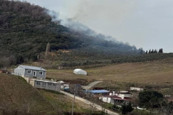 Yalova Şenköy köyü ormanlık alanda çıkan yangına müdahale