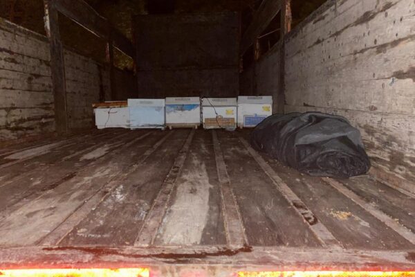 Çanakkale’de arı kovanı çaldıkları iddiasıyla 2 şüpheli yakalandı haberi