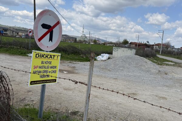 Çanakkale’de bir köyde daha şap karantinası uygulanmaya başlandı haberi