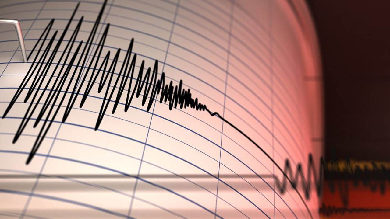 Deprem sismograf çizgileri