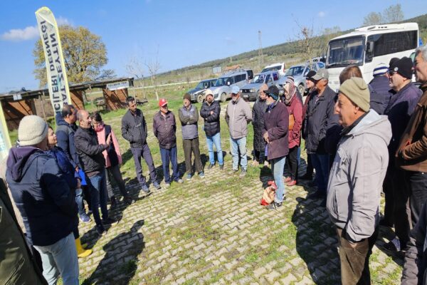 Eceabat’ta zeytin üreticilerine budama ve aşılama eğitimi verildi haberi