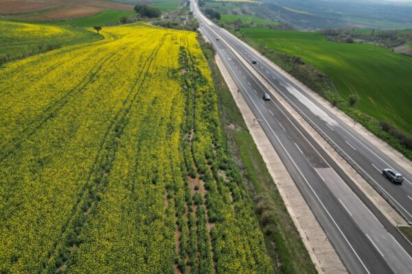 Tekirdağ’da kanola tarlaları sürücülere renkli bir rota sunuyor haberi