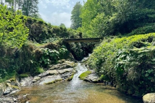 Rize’de Derenin Kırmızıya Dönmesi Bölge Halkını Endişelendirdi