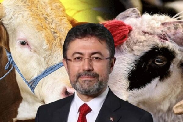 İbrahim Yumaklı’dan Kurbanlık Fiyatları İçin Uyarı