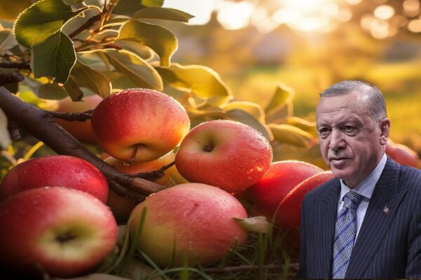 Cumhurbaşkanı Erdoğan: “Meyve Üretiminde Bu Yıl Sıkıntı Yaşanabilir”