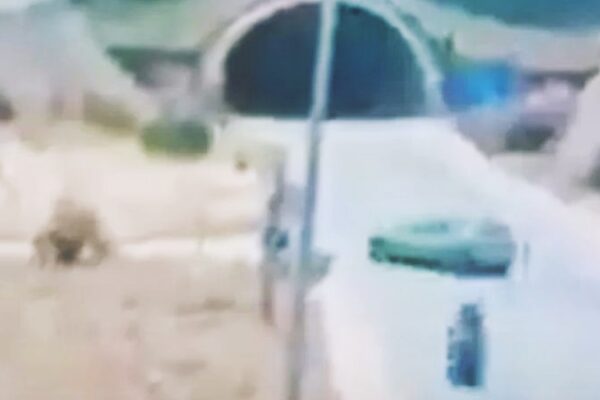 Trafik Canavarı Bayramın 3. Gününde Can Aldı: 2 Genç Hayatını Kaybetti