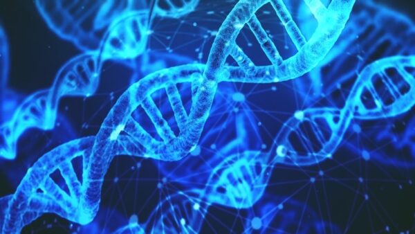 Antik DNA Analizi Hastalıkların Hayvanlardan İnsanlara Geçişini Ortaya Koydu