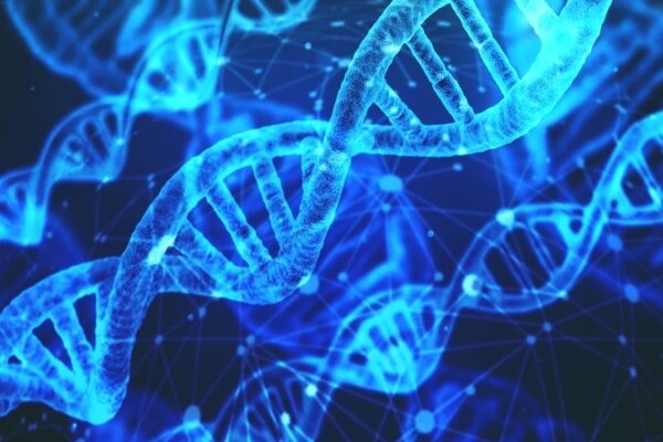 Antik DNA Analizi Hastalıkların Hayvanlardan İnsanlara Geçişini Ortaya Koydu
