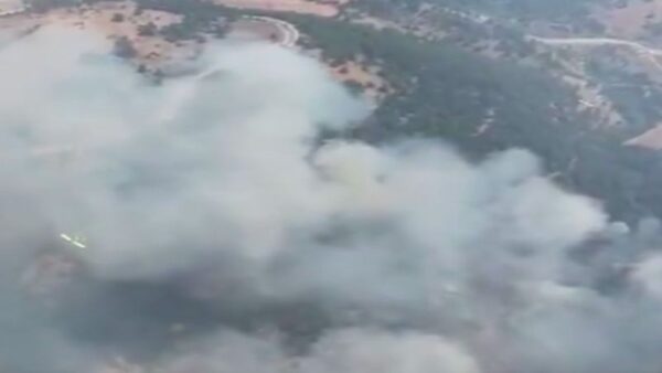 Orman Yangınlarıyla İlgili 7 Şüpheli Gözaltında: 3 Tutuklama Kararı Verildi