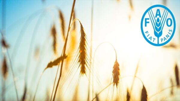 Türkiye FAO Konsey Üyeliğine Seçildi