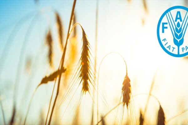 Türkiye FAO Konsey Üyeliğine Seçildi