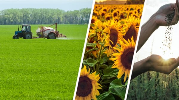 Bakanlık 116 Milyon TL Tarımsal Destek Ödemesini Çiftçilerin Hesaplarına Aktardı