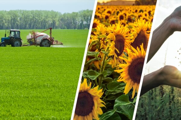 Bakanlık 116 Milyon TL Tarımsal Destek Ödemesini Çiftçilerin Hesaplarına Aktardı