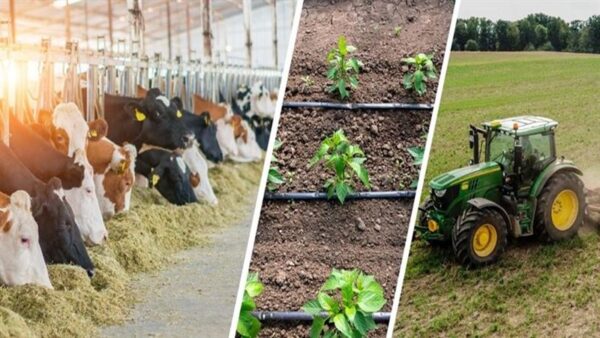 Çiftçilere 477 Milyon Liralık Tarımsal Destek Ödemesi Yapıldı