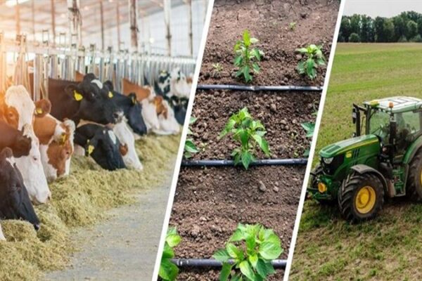 Çiftçilere 477 Milyon Liralık Tarımsal Destek Ödemesi Yapıldı