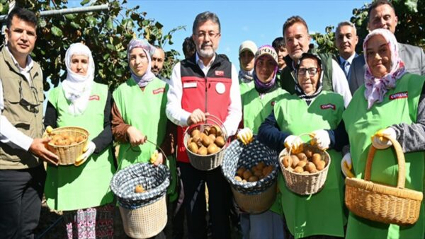 Bakan Yumaklı, Kivi Hasadına Katıldı