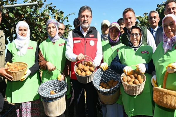 Bakan Yumaklı, Kivi Hasadına Katıldı