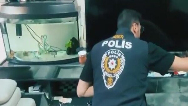 Son 5 Günde Siber Suç Operasyonunda 170 Şüpheli Yakalandı