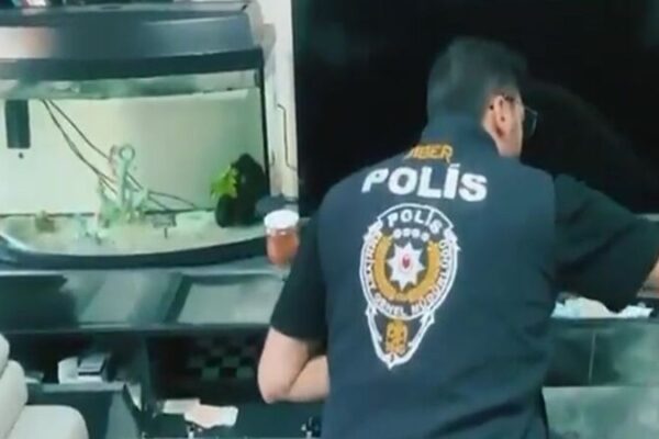 Son 5 Günde Siber Suç Operasyonunda 170 Şüpheli Yakalandı