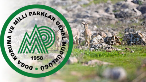 Doğa Koruma ve Milli Parklar Genel Müdürlüğü 240 Personel Alımı İçin Başvurular Başladı
