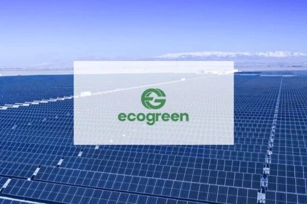 Ecogreen Enerji Halka Arzı 3 Kasım’da İşlem Görmeye Başlayacak