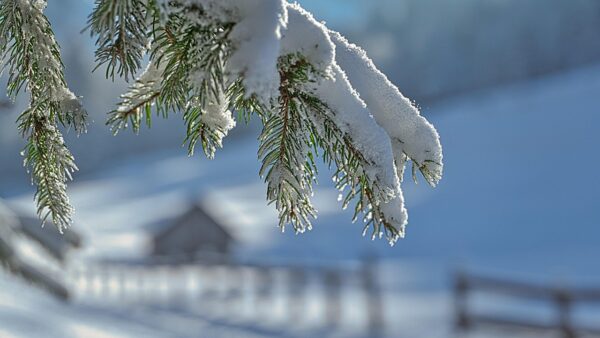 Meteoroloji’den 38 İl İçin Uyarı: Kar Yağışı ve Soğuk Hava Etkisini Artıracak
