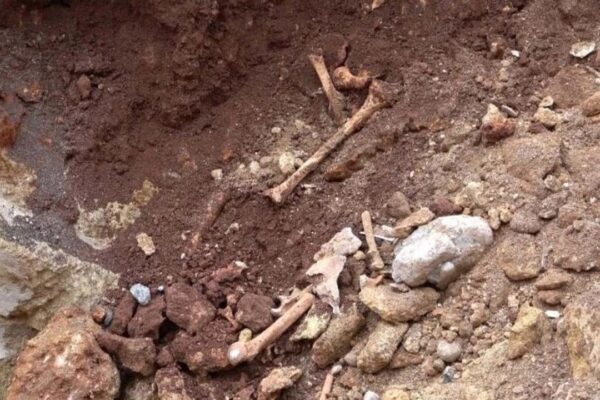Topraktan Çıkan Kemikler 15 Yıllık Gizemi Aydınlatacak!