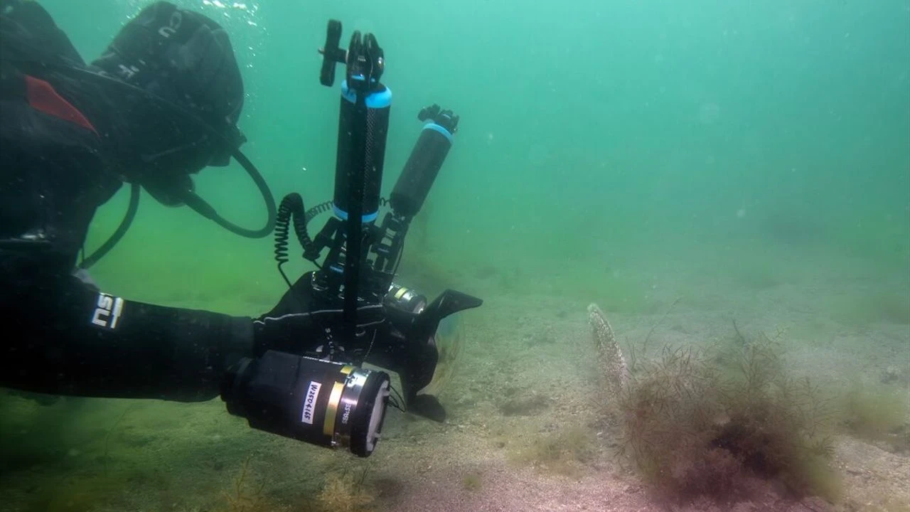 Bilim İnsanları Duyurdu: Marmara Denizi’de Mucize!