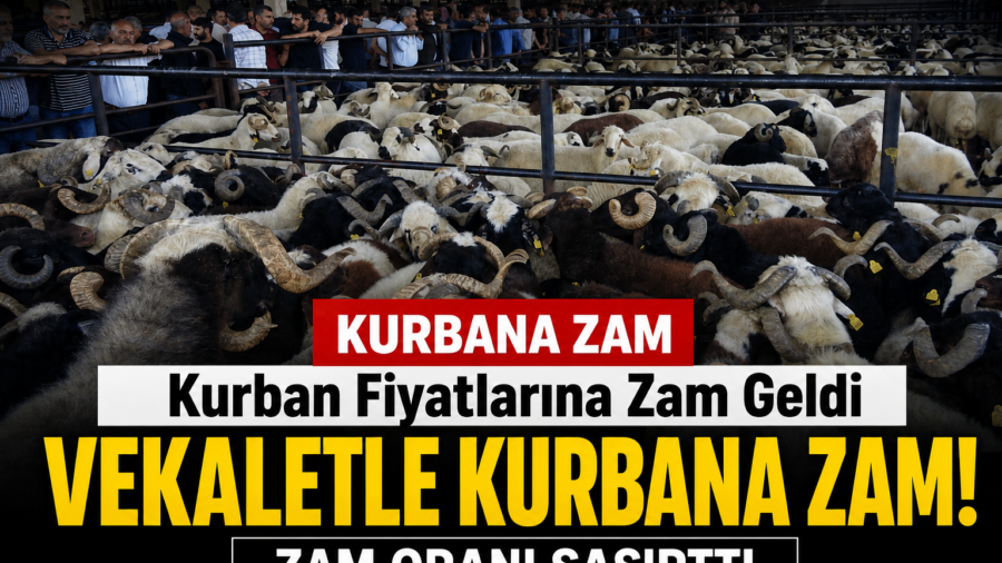Kurban Fiyatlarına Zam Geldi: Yaklaşık 2.5 Kat Yükseldi!