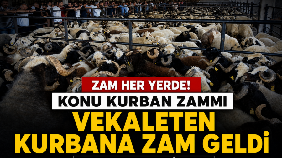 Kurban Fiyatlarına Zam Geldi: Yaklaşık 2.5 Kat Yükseldi!