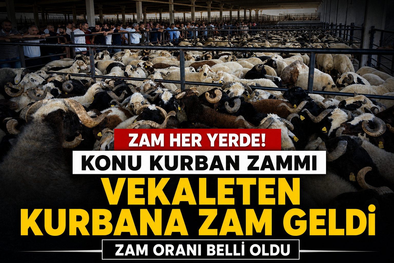 Kurban Fiyatlarına Zam Geldi: Yaklaşık 2.5 Kat Yükseldi!