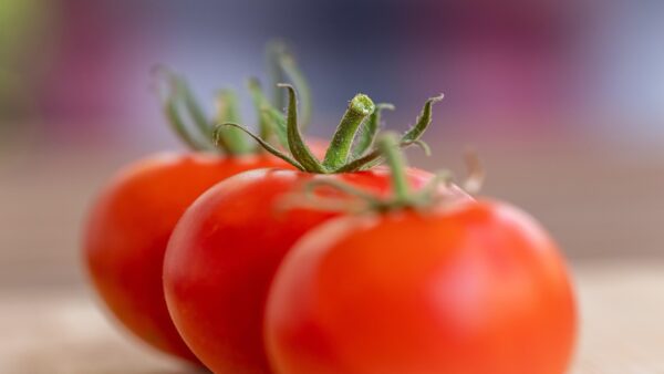 TasteAtlas Listesine Göre Dünyanın En İyi Domatesleri