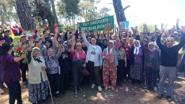 Danıştay’dan Akbelen Müjdesi: Kamulaştırma Durduruldu!