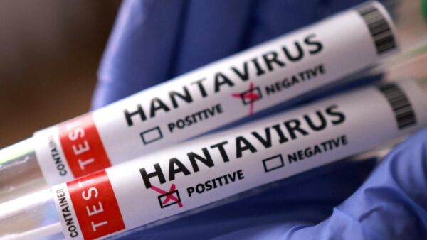 Uzmanlar Açıkladı: Türkiye’de Hantavirüs Salgını Olacak mı?