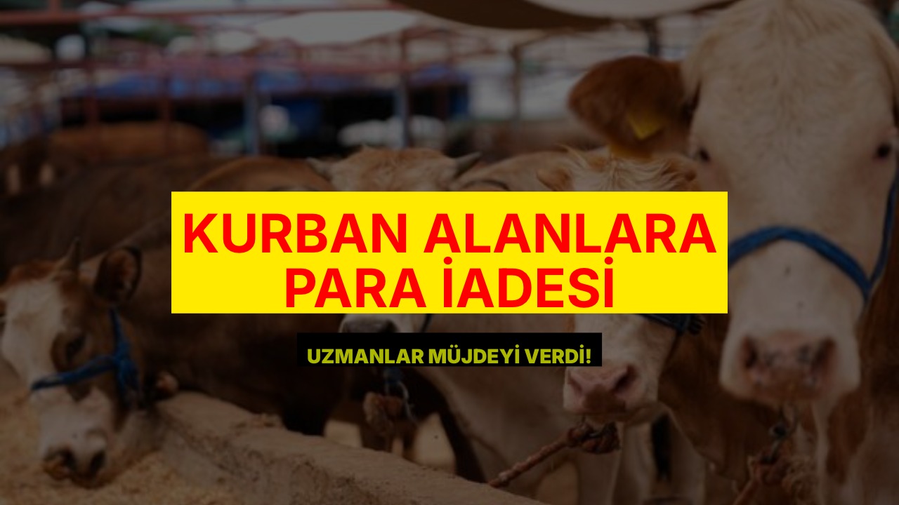Kurbanlık Alanlara Para İadesi: Uzmanlar Açıkladı!