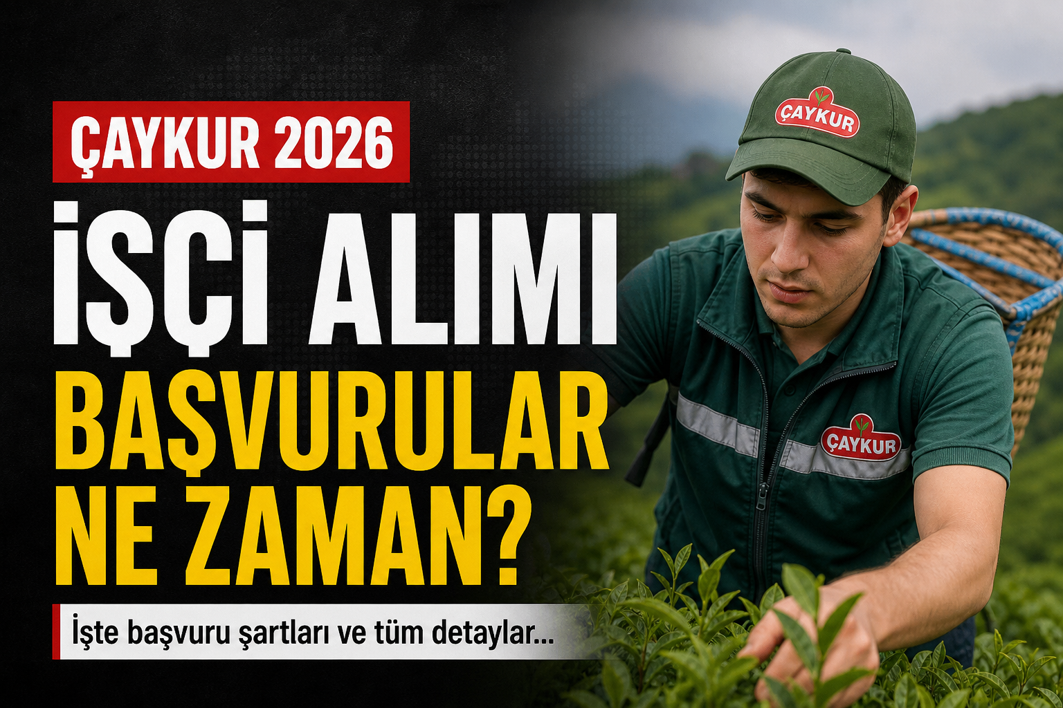 ÇAYKUR Mevsimlik İşçi Alımı Başvuru Şartları Ve Kadro Dağılımı Belli Oldu Mu?