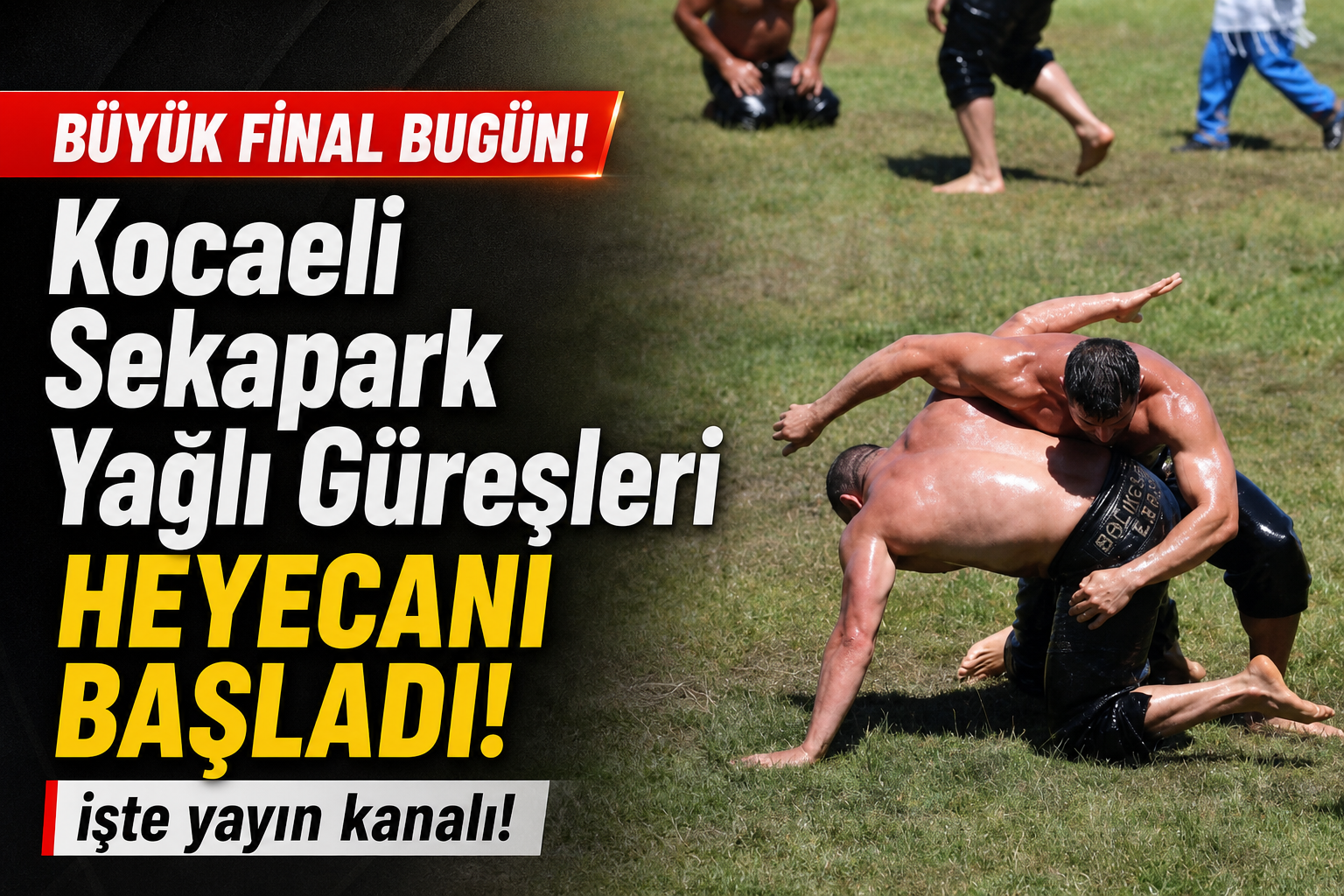 Kocaeli Sekapark Yağlı Güreşleri Başpehlivanlık Maçları Hangi Kanalda Yayınlanacak?