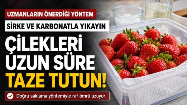 Uzmanlardan Öneri: Çilekleri Günlerce Bozulmadan Saklamanın Yolu