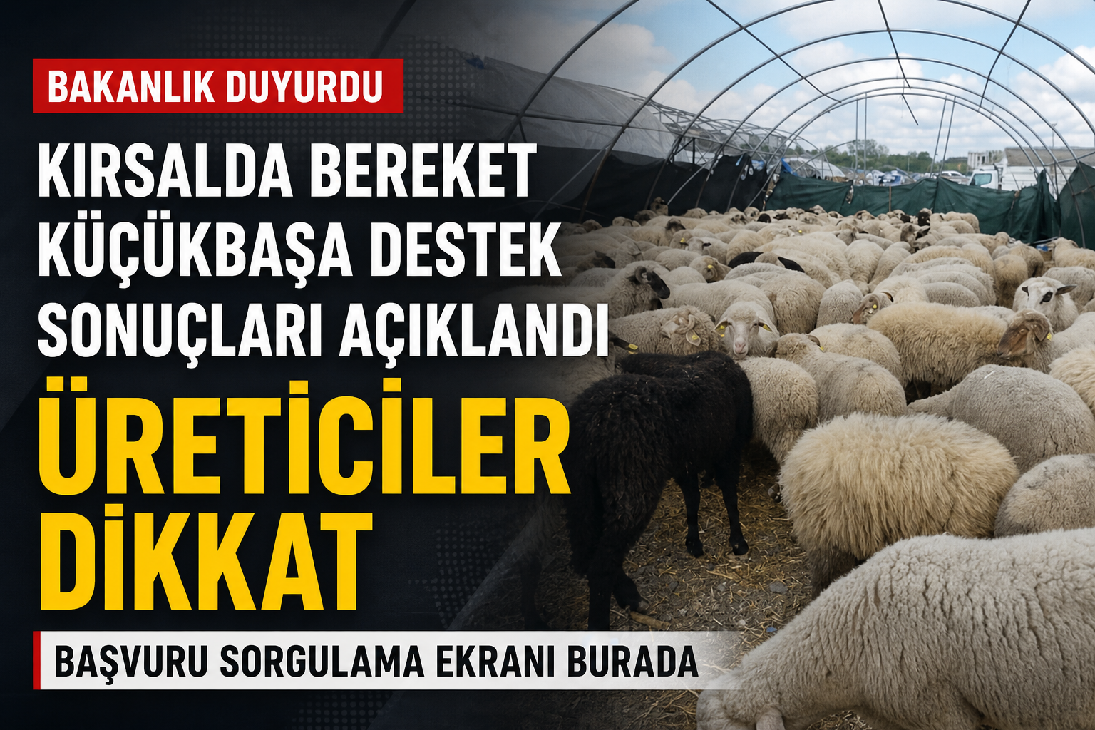 Kırsalda Bereket Küçükbaşa Destek Projesi Sonuçları: İşte Başvuru Ekranı!