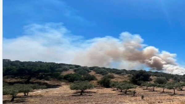 İzmir Çandarlı’da yangın