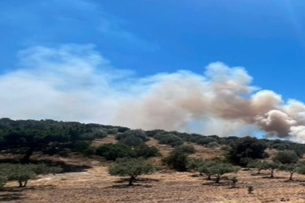 İzmir Çandarlı’da yangın
